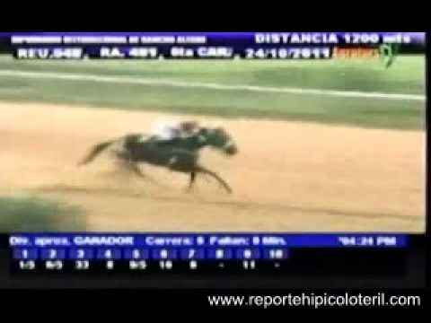 Resumen Lunes 24 de Octubre de 2011 - Rancho Alegre