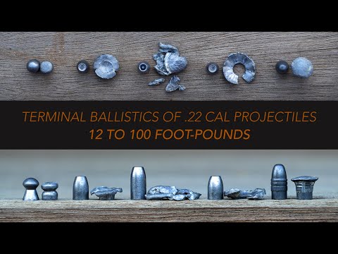 How .22 cal Airgun slugs/pellets expand: 12 to 100 foot pounds! | Clay Ballistics Revisited