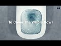 Купити Унітаз з інсталяцією Гроє Grohe 39536000 Solido з безобідковим туалетом готовий комплект підвісний 5 в 1 із овальною кнопкою, хром в Києві vannaja.kiev.ua