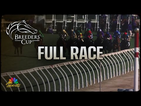 Breeders' Cup 2024: Juvenile Turf Sprint (Full Race) | NBC Sports