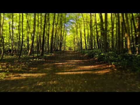 Milton Nascimento, esperanza spalding - Saci (feat Guinga) (Official Audio)