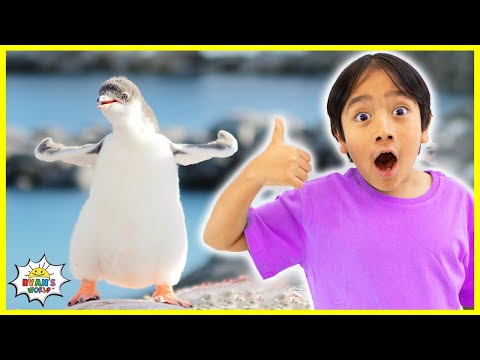 Learn All about Penguins Facts for Kids with Ryan's World!