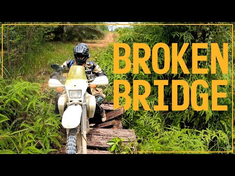 No turning around in the Borneo Jungle 🇮🇩 Ep25
