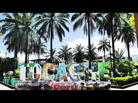 TOCACHE ❤️ SAN MARTÍN | PLAZA DE ARMAS DE LA CAPITAL DEL CACAO 🍫 | EXPLORANDO EL VERDADERO PERÚ 🏃