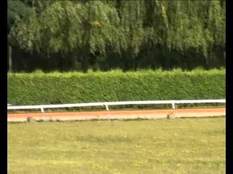 Czech Derby 2nd semifinal - 2011