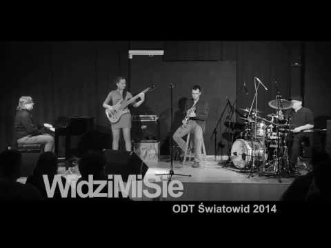 WIDZIMISIE Marsz trzmieli   ODT ŚWIATOWID 2014