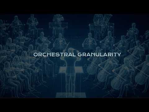 Orchestral Granularity