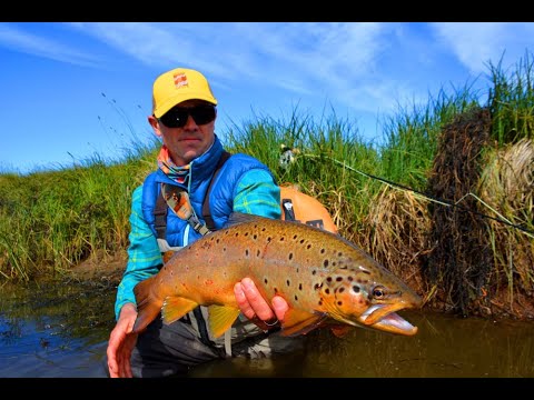 Patagonia Trout 2019 // Day 5 - Big Browns on EDZ Spring Creek