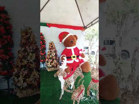 Decoração de Natal em Bernado Sayão-To