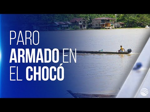 Eln declara nuevo paro armado de 72 horas en el Chocó | Cablenoticias