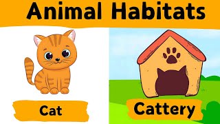 Animal Habitats | Discover Where Your Favorite Animals Live