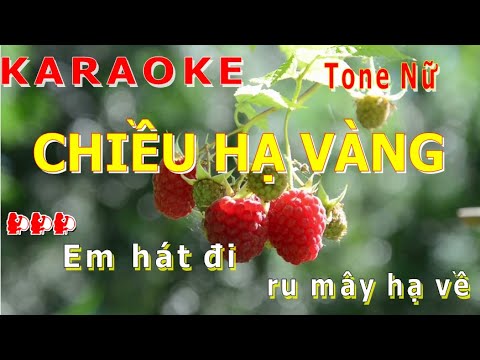 Karaoke Chiều Hạ Vàng - Tone Nữ - Karaoke Phương Anh