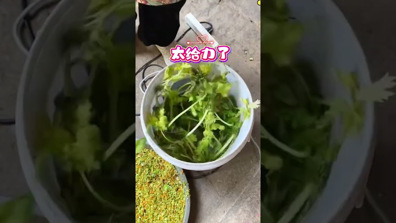 new best Springer cutting machine