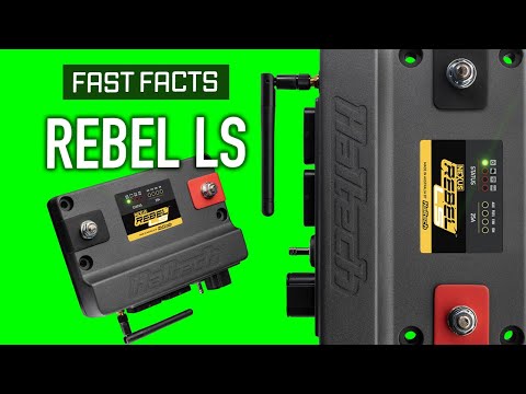 ✅NEXUS Rebel LS | FAST FACTS
