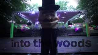 Into the Woods Festival 2014 | Aftermovie