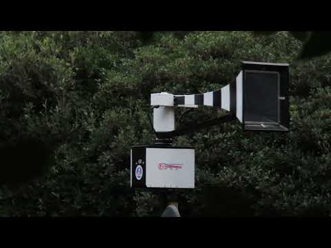 1962 Federal Thunderbolt 1003 Siren | Alternating Wail Signal (4/5 Port)