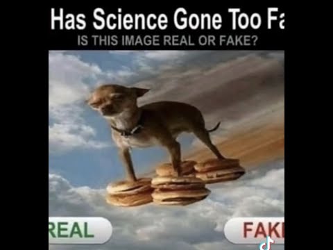 [CRIMINALITY] Attempting to Destroy Zergs...