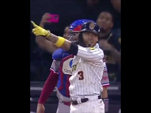 El jonrón de Harold Castro para darle el campeonato a los Leones del Caracas.