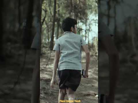 Chellakili Video Song Status #Romeo #VijayAntony #mrinaliniravi #BarathDhanasekar #adithyark