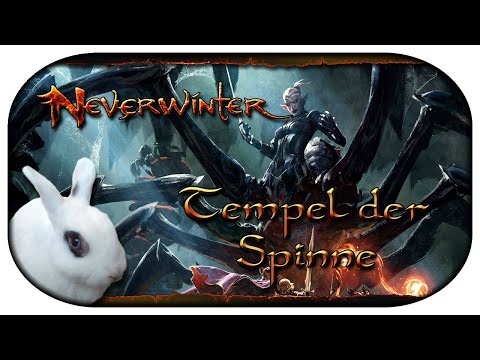 NEVERWINTER: Mod 24 🐇 Der neuer Tempel der Spinne mit 3 Leuten