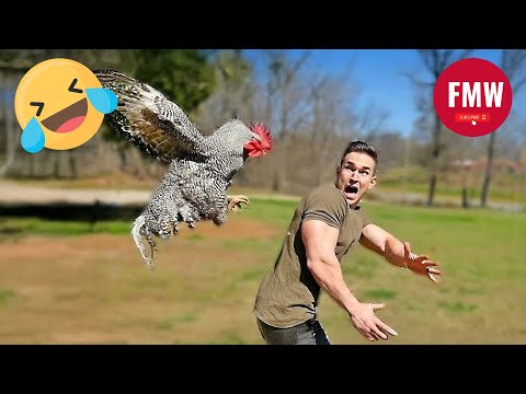 Funny & Hilarious People Life 😆 #323 | TRY NOT TO LAUGH 😂 | Instant Regret Fails Compilation 2025
