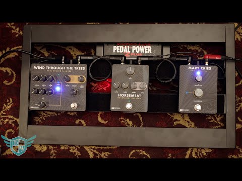 Danville Music Thursday Toys - New PRS Pedal DEMO!