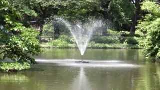 preview picture of video '[ZR-200]和田堀公園の噴水[Full HD] -Fountain in Wadabori Park-'