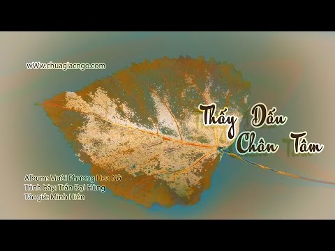 Thấy dấu chân tâm