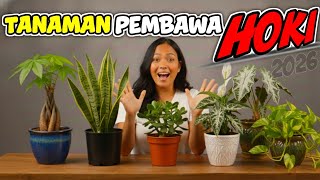 Download lagu Wajib Punya di 2026! 5 Tanaman Pembawa Hoki, Keberuntungan, dan Rezeki Tak Terduga mp3 Download lagu Wajib Punya di 2026! 5 Tanaman Pembawa Hoki, Keberuntungan, dan Rezeki Tak Terduga mp3