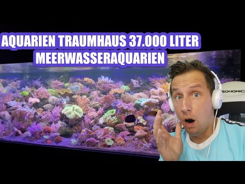 Sascha REAGIERT auf | AQUARIEN TRAUMHAUS - 37.000 Liter Meerwasseraquarien *crazy*