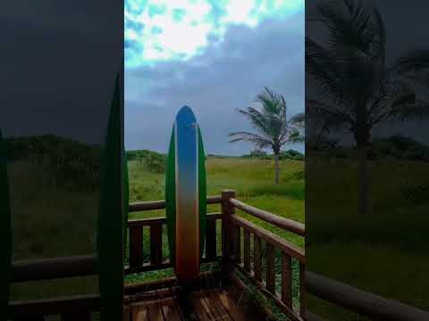 ILHA DE GURIRI , SÃO MATEUS - ES.  #praia #saomateus #espiritosanto #shorts #shortvideo #foryou