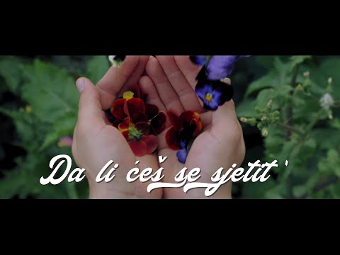Dražen Zečić - Da li ćeš se sjetit' (Official lyric video)