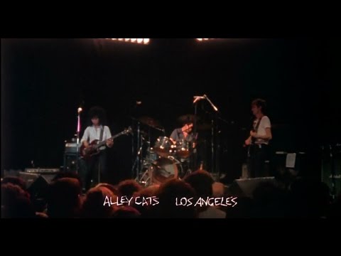 The Alley Cats - Nothing Means Nothing Anymore (HQ) Live