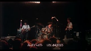 The Alley Cats - Nothing Means Nothing Anymore (HQ) Live