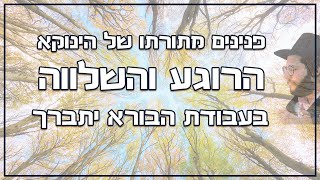 הרוגע והשלווה בעבודת הבורא יתברך - פנינים מתורתו של הגאון הינוקא | הרב יחזקאל צמח