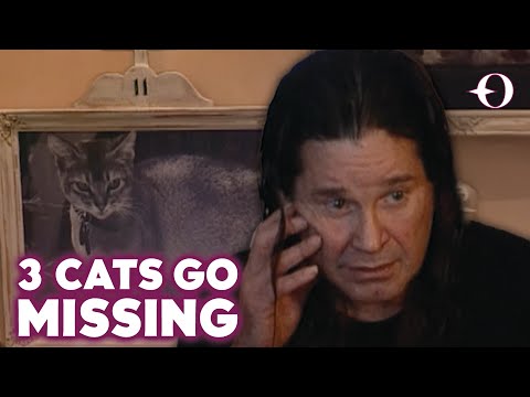 When The Osbournes' Cats Went Missing | The Osbournes TV