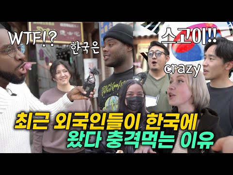 한국에 온 외국인들 반전반응..