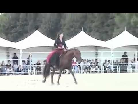 Magnað samspil knapa og hests