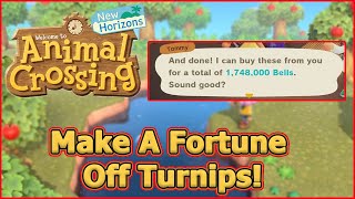 Understand The Turnip Market! (When to sell Turnips) - Animal crossing: New Horizons Tips & Tricks
