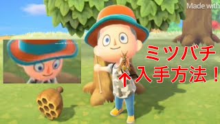 【あつもり】LINKが教えるミツバチの簡単な捕まえ方！序盤のお金稼ぎに使える！#3【あつまれどうぶつの森】