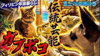 【フィリピン移住】年金暮らしのパレンケ（市場）散策と、犬と猫による「ガブポコ道場」雲上の決戦の巻