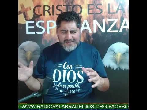 PROGRAMA TIEMPOS FINALES