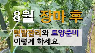 8월 장마 후 텃밭 관리와 토양준비 이렇게 하세요. # 주말농장 텃밭 가꾸기