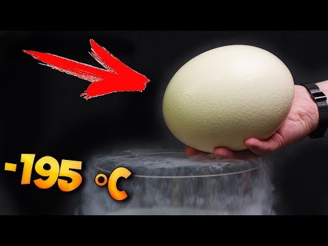 WHAT IF TO PUT AN OSTRICH EGG IN LIQUID NITROGEN?! −320 °F Video