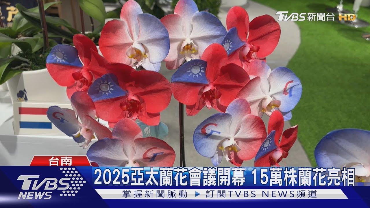 驚現「中華隊」標誌!2025亞太蘭花會議暨蘭展開幕 15萬株蘭花亮相