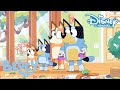 Bluey | De Elfen Vloek ?‍♀️ | Disney Channel NL
