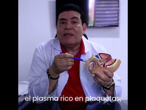 video pQowNySB0kE