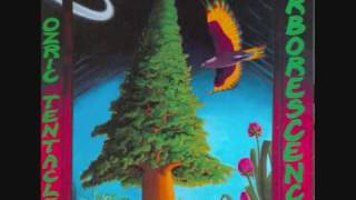 Ozric Tentacles - Astro Cortex