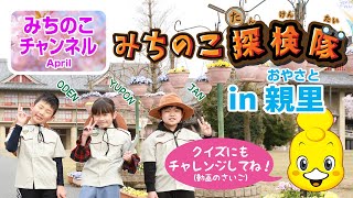 「みちのこ探検隊in親里」