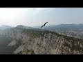 Golden Eagle Attcks DJI Phantom 4